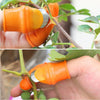 Farm Vegetable Fruit Picker Pickle