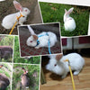 Adjustable Pet Rabbit Soft Harness Leash