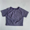 Women's Seamless Short Sleeve Crop Top Shirts