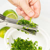 15CM Minced 5 Blades Stainless Steel Kitchen Scissors Herb Cutter